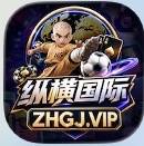 纵横国际